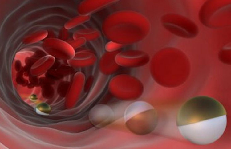 Роботы-лейкоциты, способные двигаться против кровотока, будут бороться с различными заболеваниями изнутри тела человека