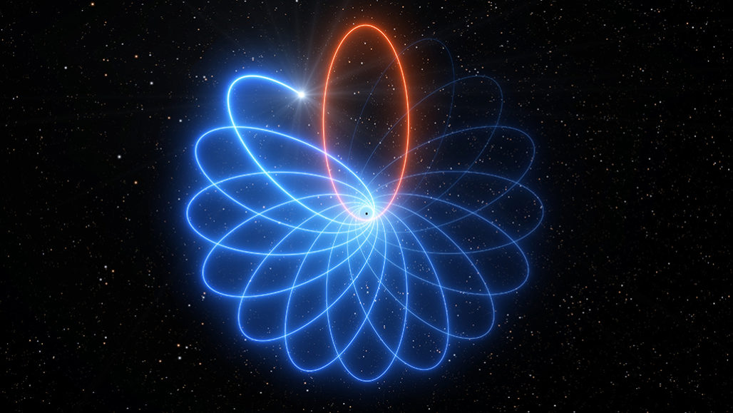 Путь звезды в форме розетки вокруг черной дыры подтверждает теорию гравитации Эйнштейна. Вместо того, чтобы вычерчивать один эллипс (красный), его орбита вращается во времени (синий, вращение на этой иллюстрации преувеличено для акцентирования).  L. ROAD / ESO