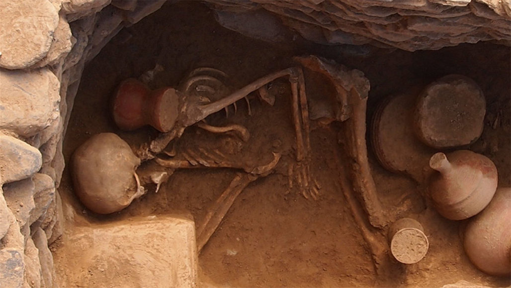 Древняя ДНК человеческих скелетов, раскопанных в северной части Южной Азии и вокруг нее, дала ключ к разнообразию миграций, в том числе мобильных скотоводов, которые формировали происхождение региона и, возможно, его языки, начиная с 4000 лет назад и более. ROBERTO MICHELI AND MASSIMO VIDALE/ISMEO - ITALIAN ARCHAEOLOGICAL MISSION IN PAKISTAN.