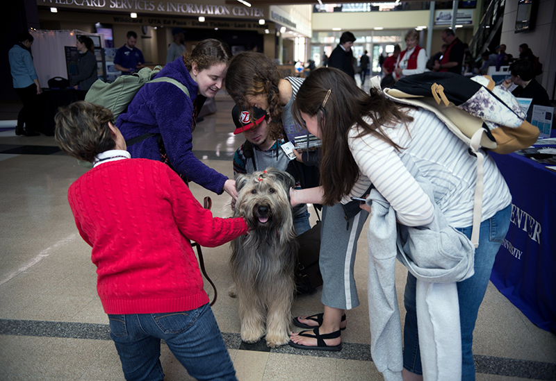 Студенты Университет штата Вашингтон общаются с собакой.