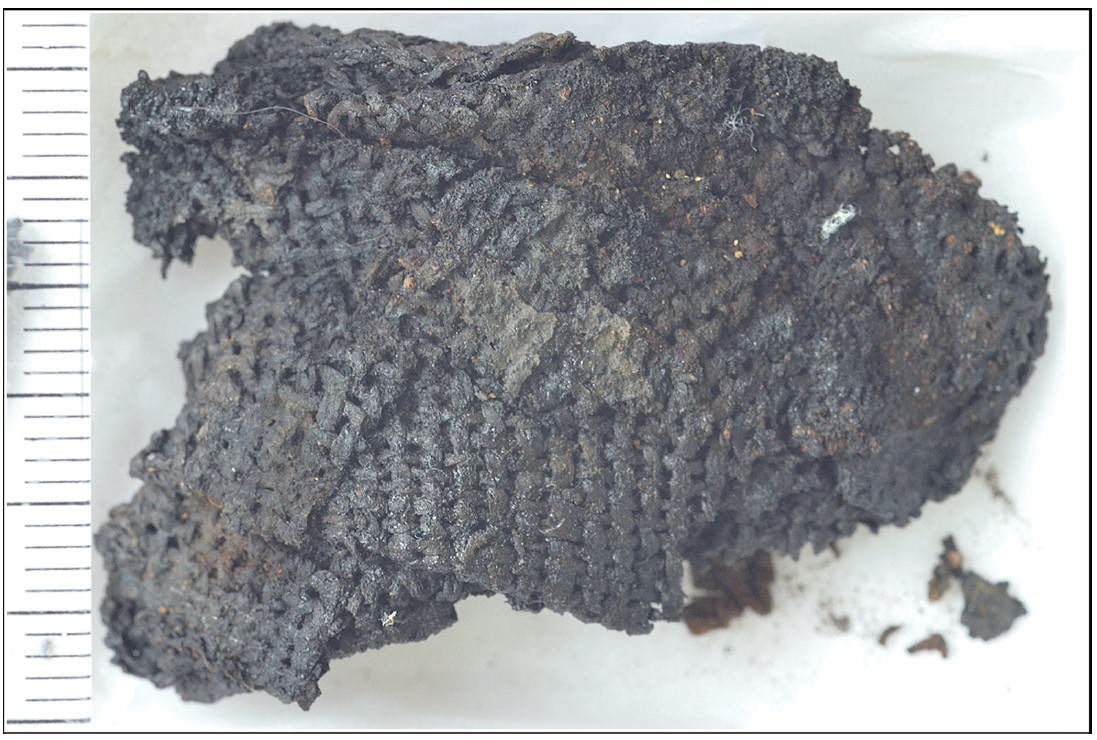 Фрагмент плетёного текстиля из растительных волокон. Antoinette Rast-Eicher, Antiquity 2021.
